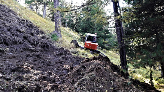 Travaux sylvicoles 2024-2025 sur les cinq villages