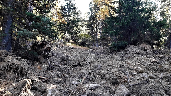 Travaux sylvicoles 2023-2024 sur les cinq villages